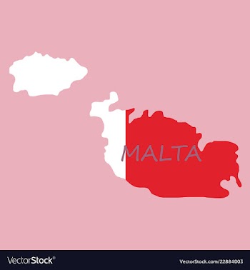 Flag map of malta vector image
