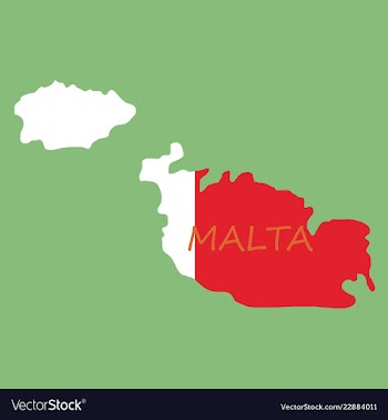 Flag map of malta vector image