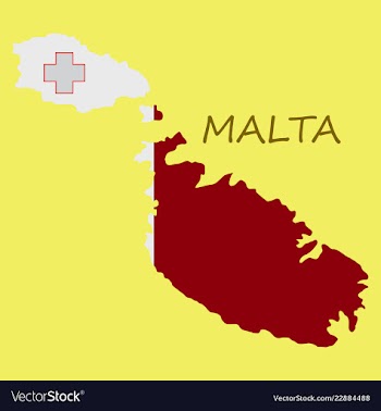 Flag map of malta vector image