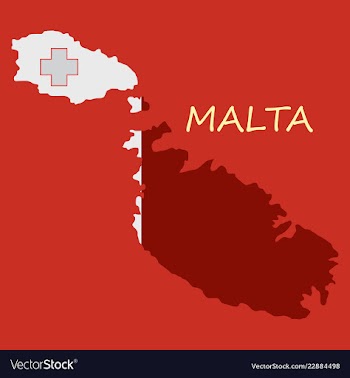 Flag map of malta vector image