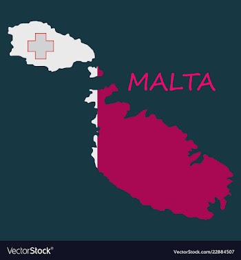 Flag map of malta vector image