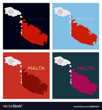 Flag map of malta vector image