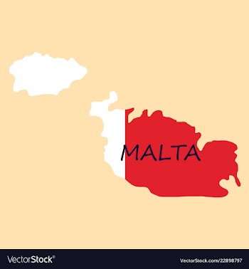 Flag map of malta vector image