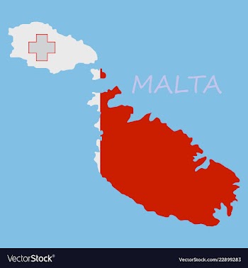 Flag map of malta vector image