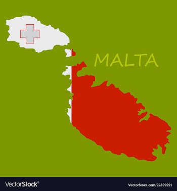 Flag map of malta vector image