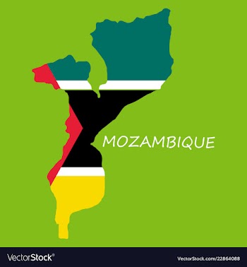 Flag-map of mozambique vector image
