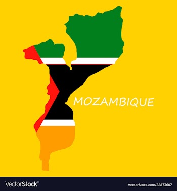 Flag-map of mozambique vector image