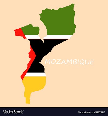 Flag-map of mozambique vector image