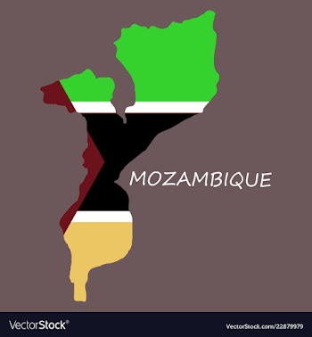 Flag-map of mozambique vector image