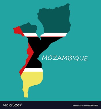 Flag-map of mozambique vector image