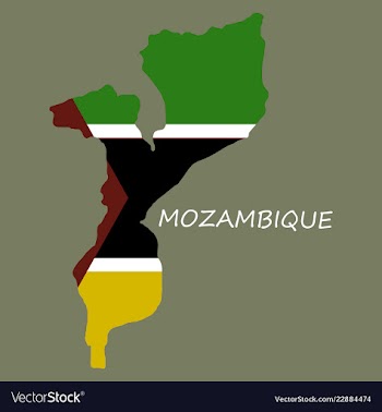 Flag-map of mozambique vector image
