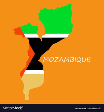 Flag-map of mozambique vector image