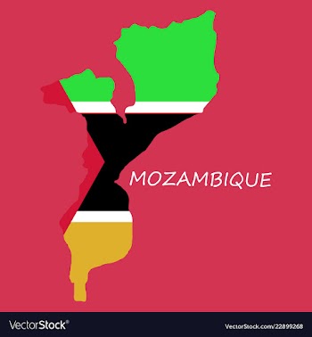 Flag-map of mozambique vector image