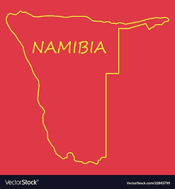 Flag map of namibia vector image