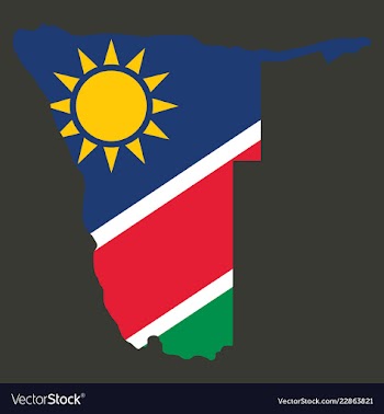 Flag map of namibia vector image