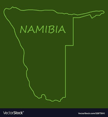 Flag map of namibia vector image