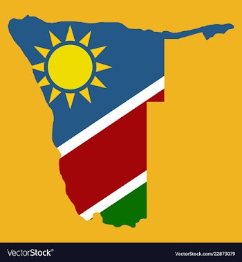 Flag map of namibia vector image