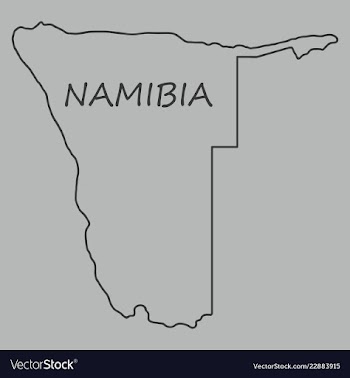 Flag map of namibia vector image