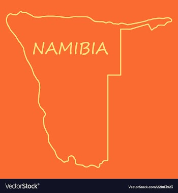 Flag map of namibia vector image