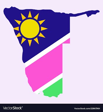 Flag map of namibia vector image