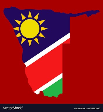 Flag map of namibia vector image