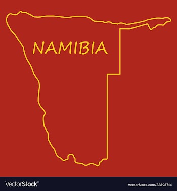 Flag map of namibia vector image