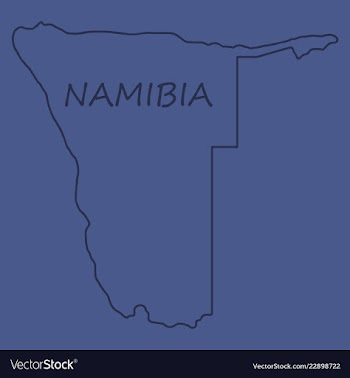 Flag map of namibia vector image