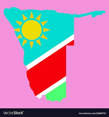 Flag map of namibia vector image