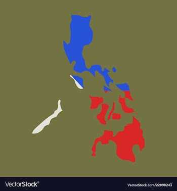 Flag map of philippines vector image
