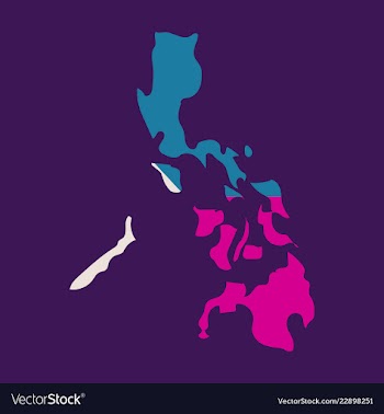 Flag map of philippines vector image