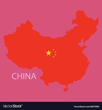Flag map of republic of china vector image