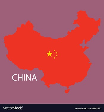 Flag map of republic of china vector image