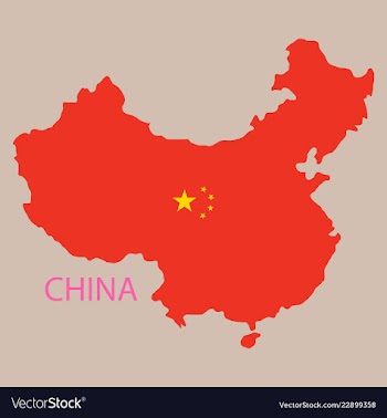 Flag map of republic of china vector image