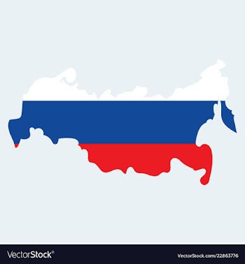 Flag map of russia vector image