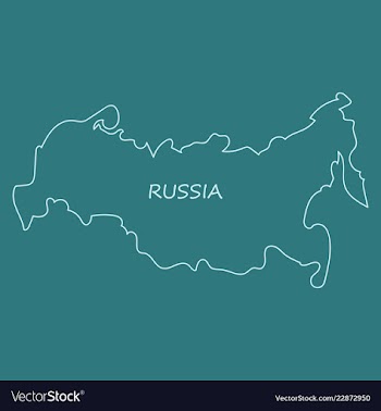 Flag map of russia vector image