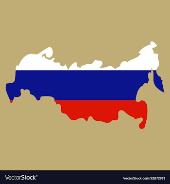 Flag map of russia vector image