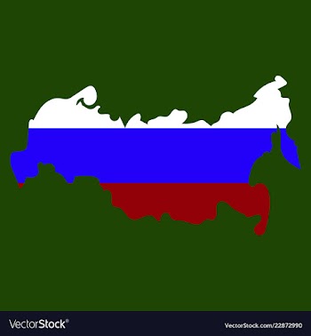 Flag map of russia vector image