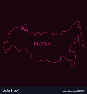 Flag map of russia vector image