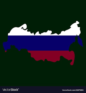 Flag map of russia vector image