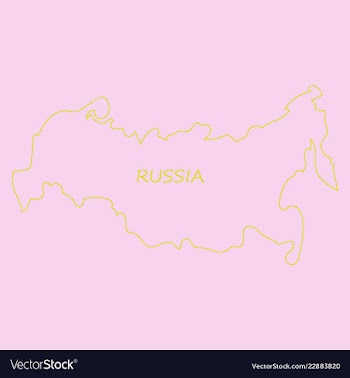 Flag map of russia vector image
