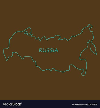 Flag map of russia vector image