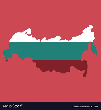 Flag map of russia vector image