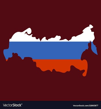 Flag map of russia vector image
