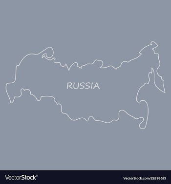 Flag map of russia vector image