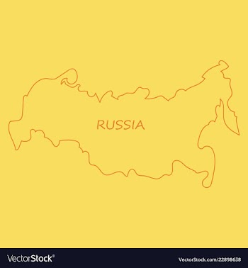 Flag map of russia vector image