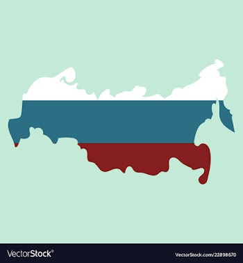 Flag map of russia vector image