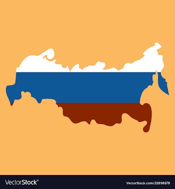 Flag map of russia vector image