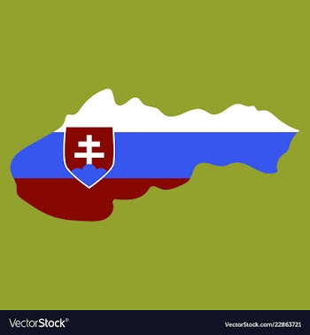Flag map of slovakia vector image