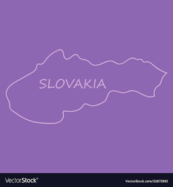 Flag map of slovakia vector image