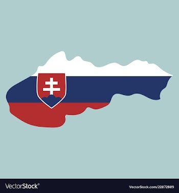 Flag map of slovakia vector image